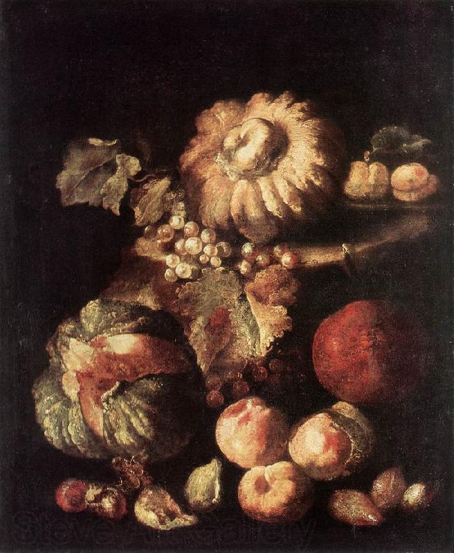 RUOPPOLO, Giovanni Battista Fruit Still-Life dg Spain oil painting art